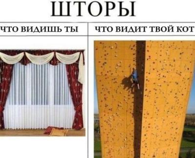 2018.jpg 