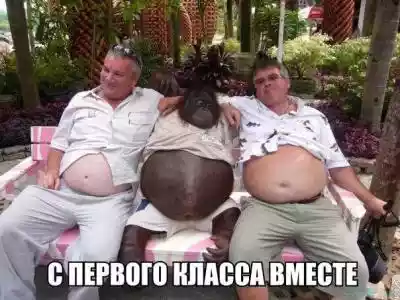 201730.jpg 
