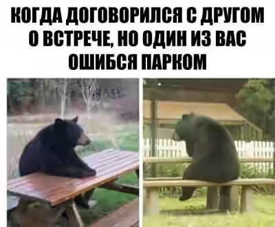 2020.jpg 
