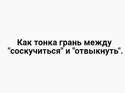 201730.jpg 