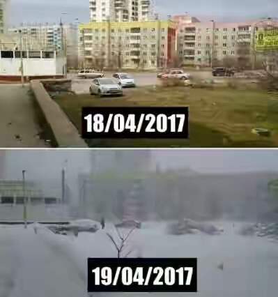 201850.jpg
