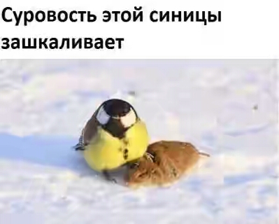 2018.jpg 