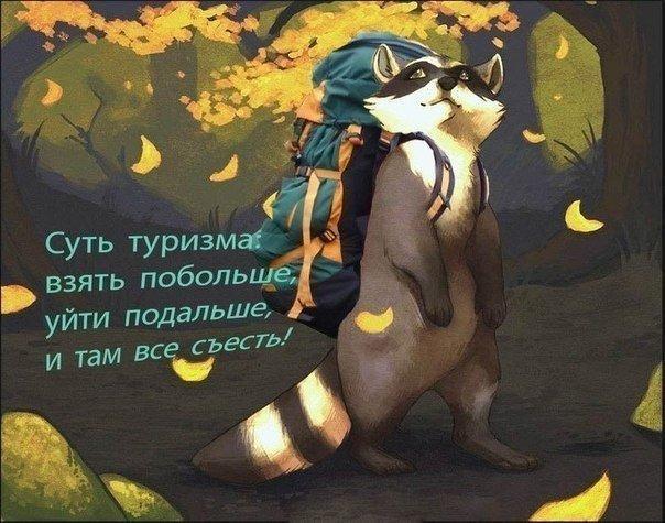2017.jpg 