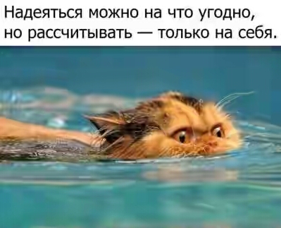 201630.jpg