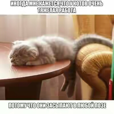 201630.jpg
