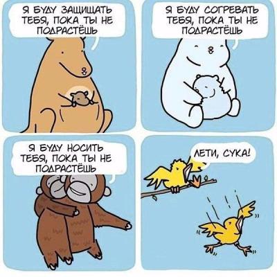 201630.jpg