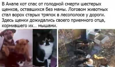 201730.jpg