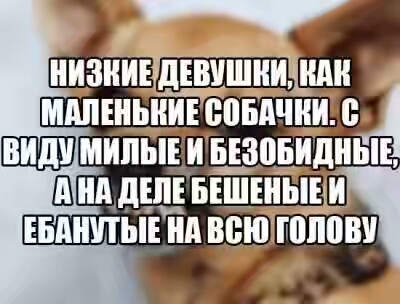 201830.jpg