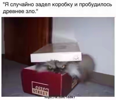 2022.jpg 