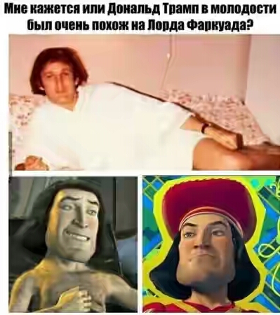 202050.jpg