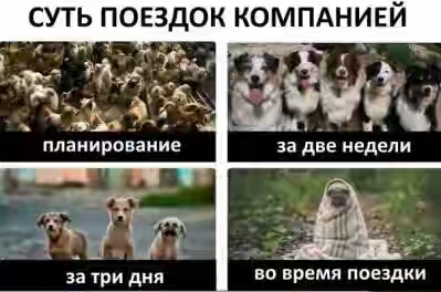 201730.jpg