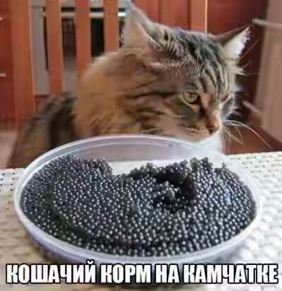 2019.jpg 
