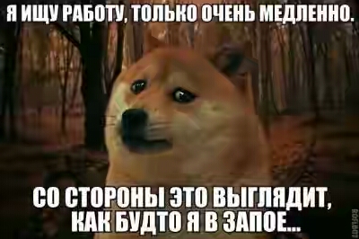 202030.jpg 