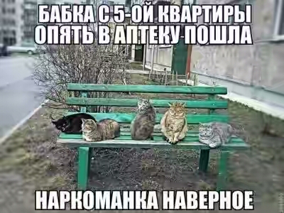 201630.jpg 