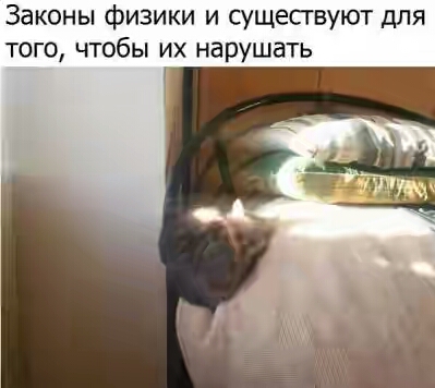 201730.jpg 