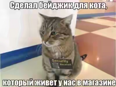 201730.jpg 