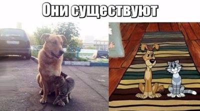 2018.jpg 