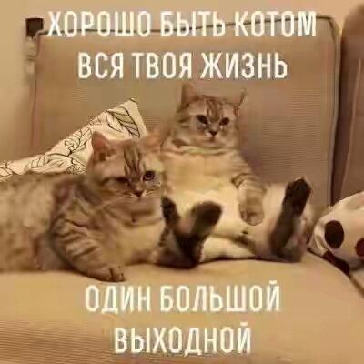 201630.jpg 