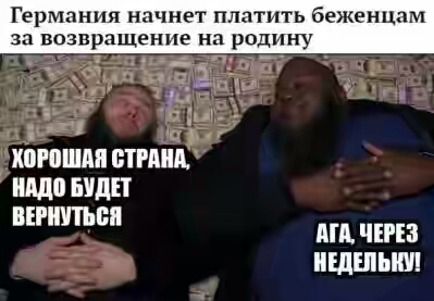 201630.jpg 