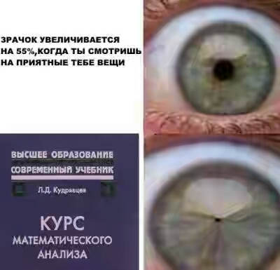 202050.jpg