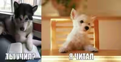 201630.jpg