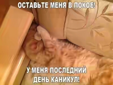 201630.jpg 