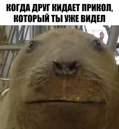 201730.jpg 