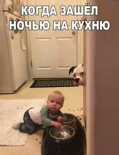 201630.jpg 