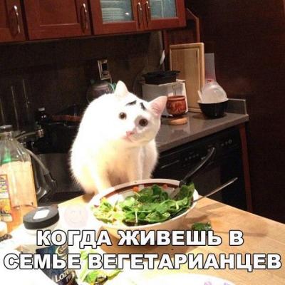 201630.jpg