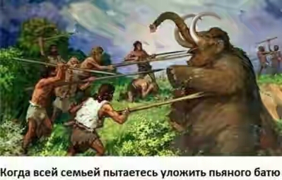 201730.jpg