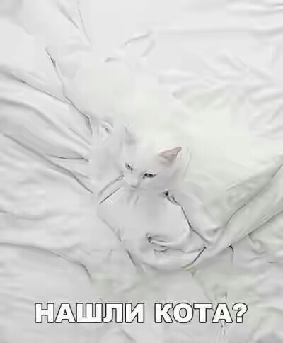 201630.jpg 