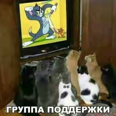 2018.jpg 