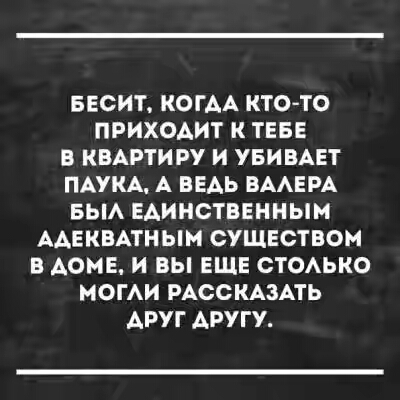 201730.jpg 