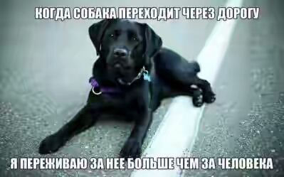 201630.jpg 