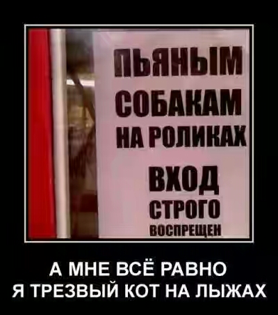 201630.jpg 