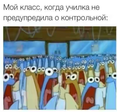 201630.jpg 