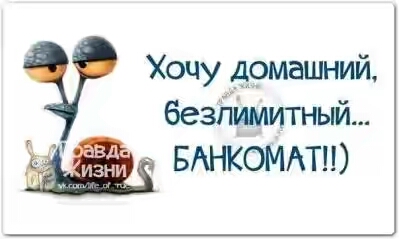 201730.jpg 