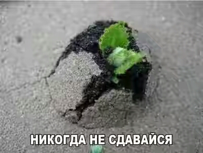 201630.jpg