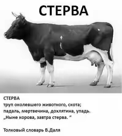 201630.jpg