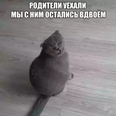 201630.jpg 