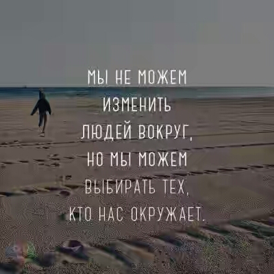 201730.jpg 