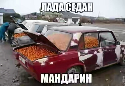 201730.jpg 