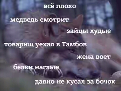 202130.jpg 