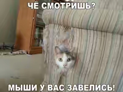 201730.jpg 