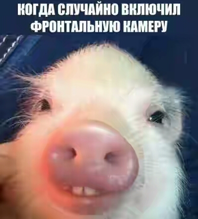 2017.jpg