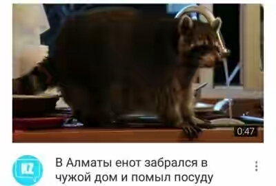 201630.jpg