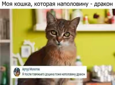 201630.jpg 