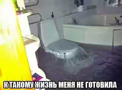 201730.jpg 