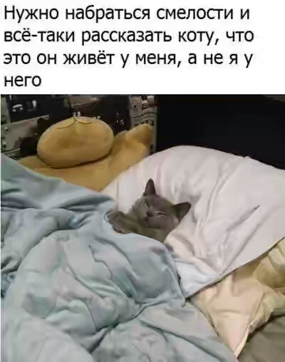 201730.jpg 