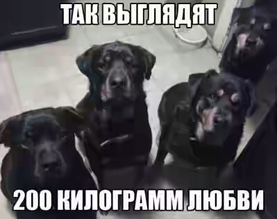 201850.jpg